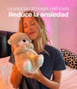 Oso Relajante Luminoso Anti-Estrés + respiración